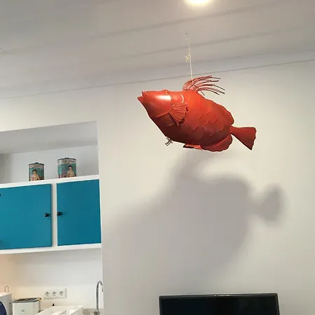 公寓 Casas Da - 埃里塞拉