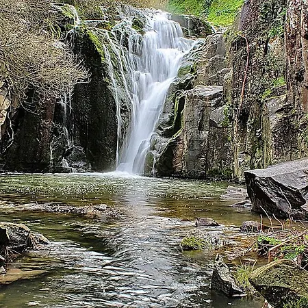 Casas Da - Apartamento Ericeira
