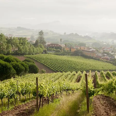 Casas Da - 公寓 埃里塞拉