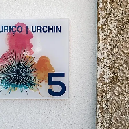 Apartamento Casas Da - Ericeira